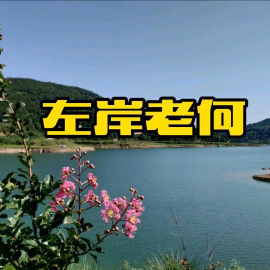 左岸Pro