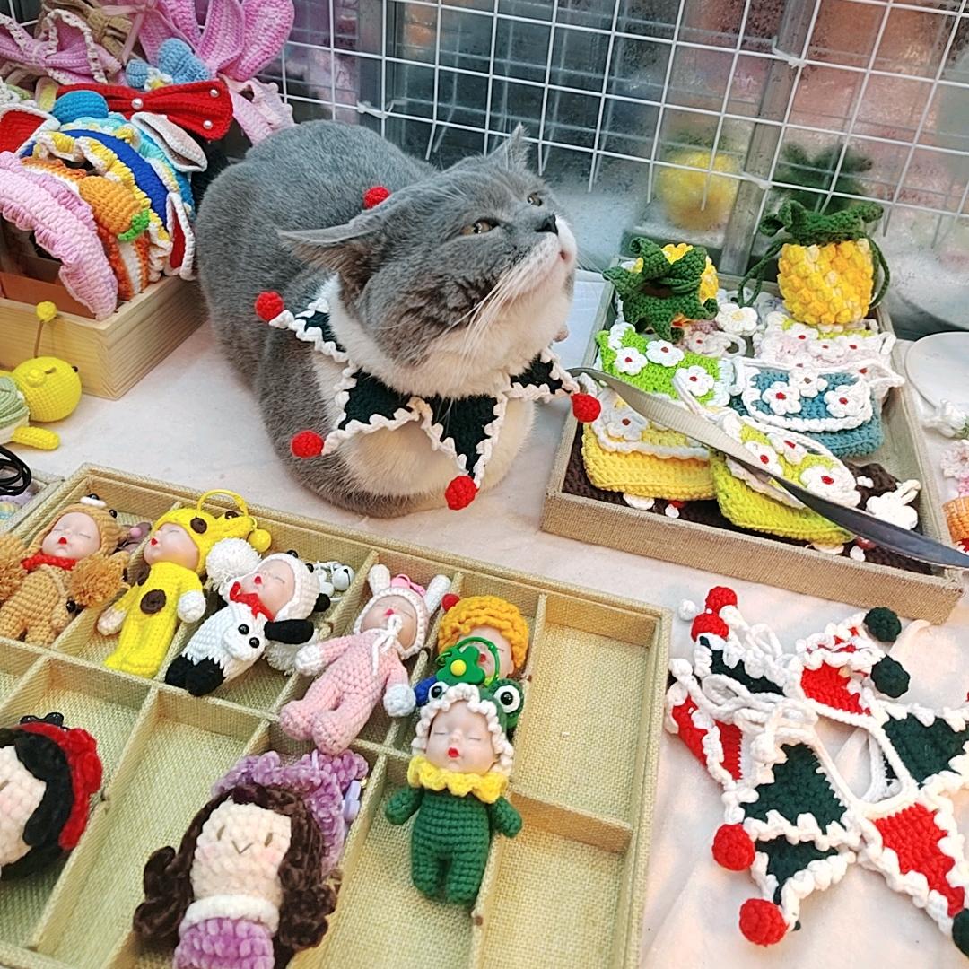 青橘短衫