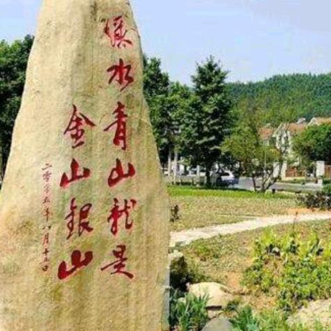 金山银山正宗土蜂蜜