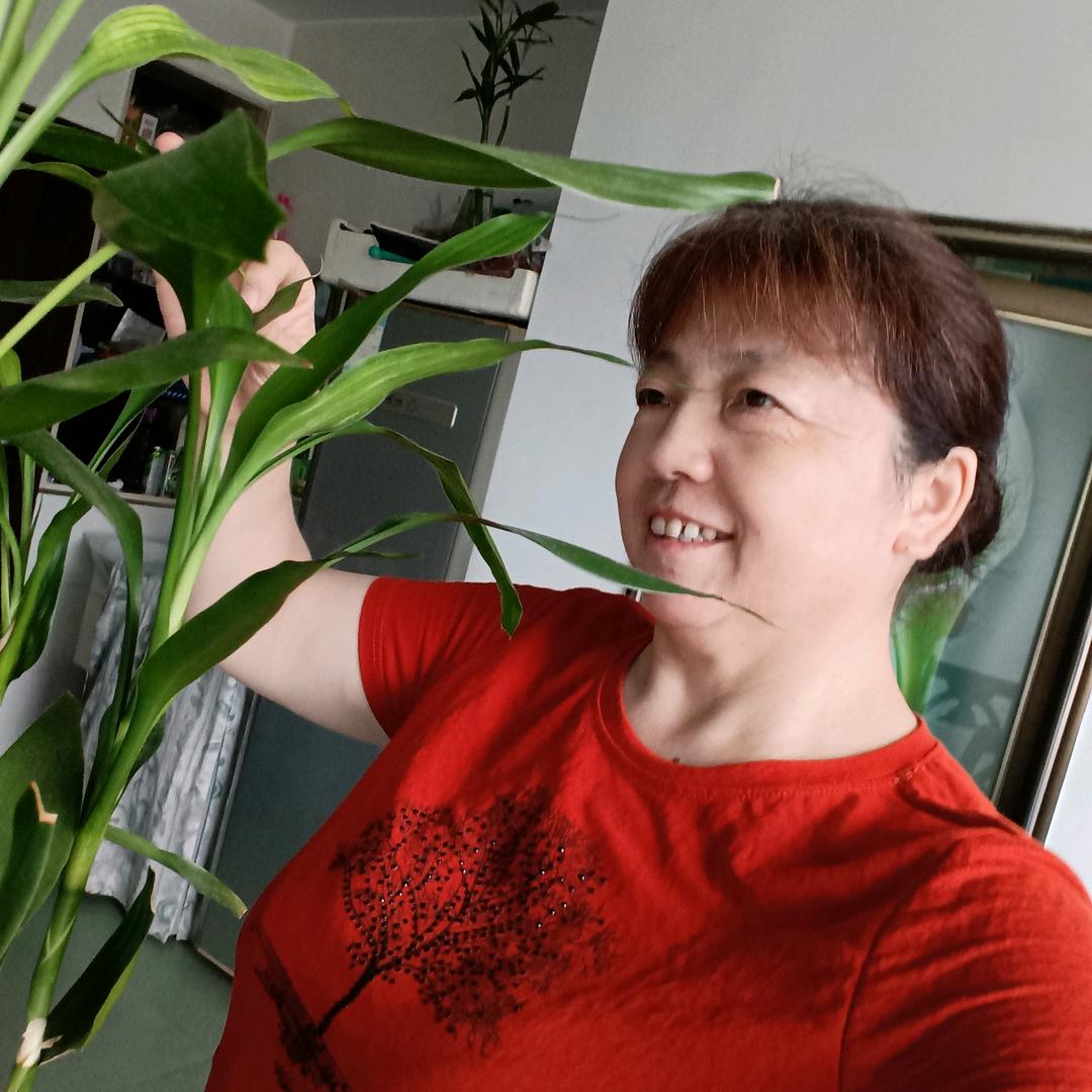 贵姐姐