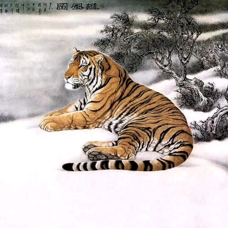 雷老虎