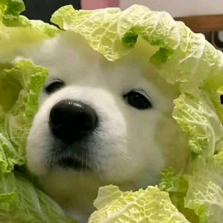 老刘