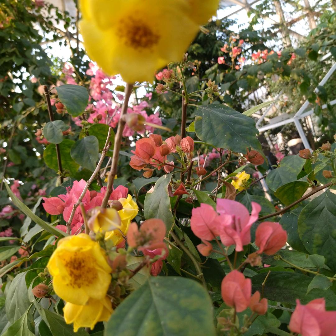 不饿呀
