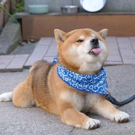 柠檬酸i