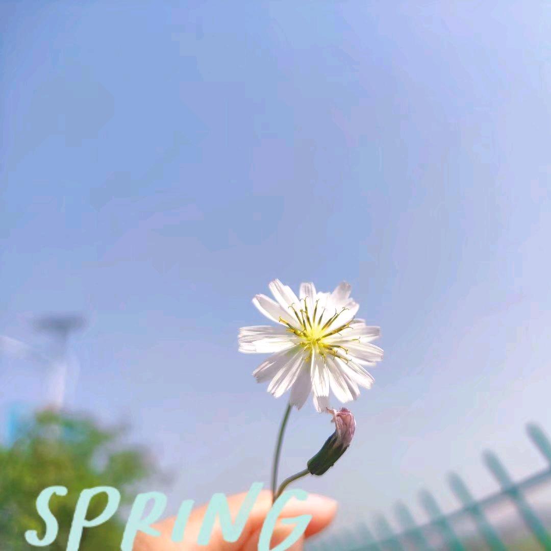 常有李