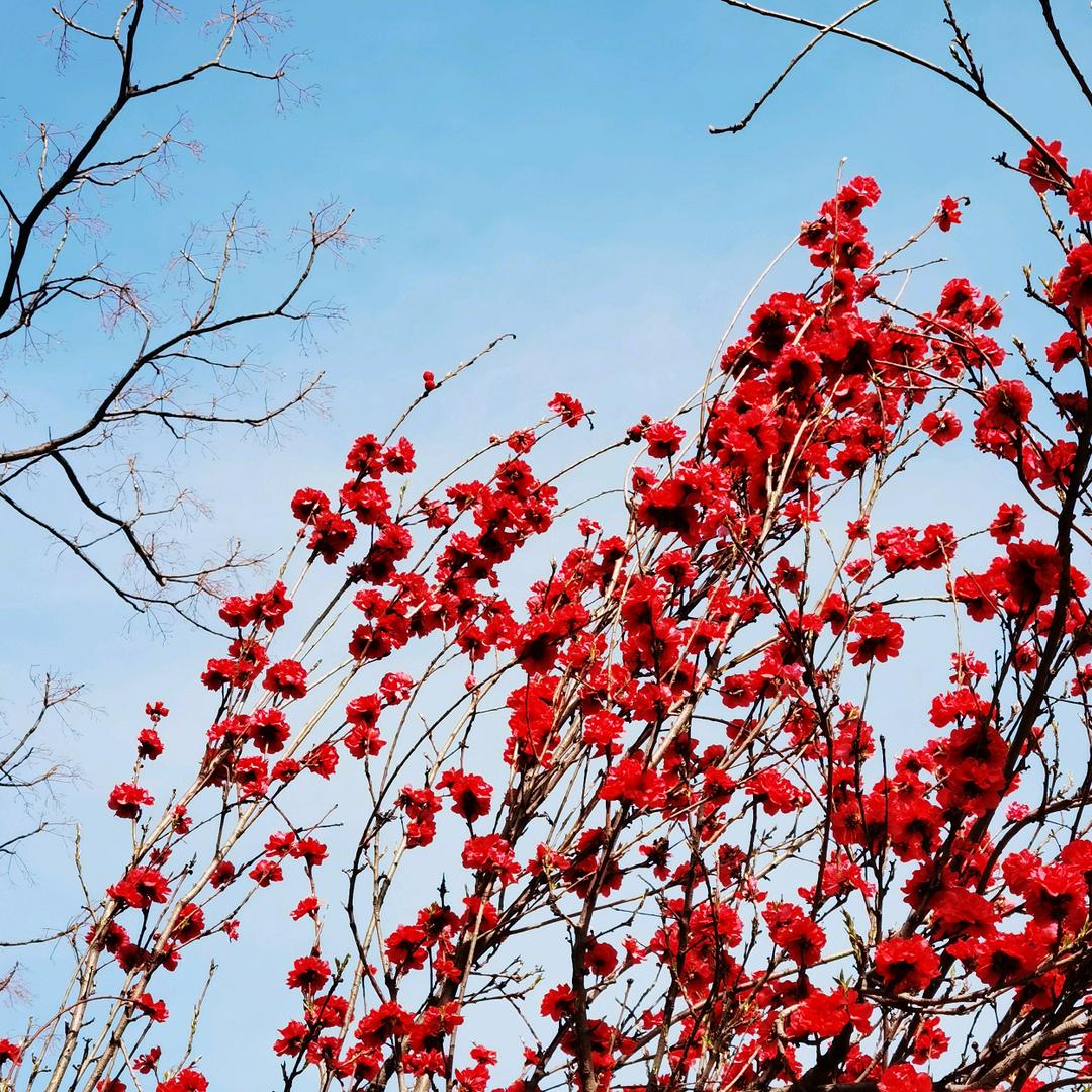 阳光（拒私聊）