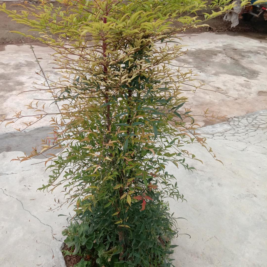 一年更比一年好😃