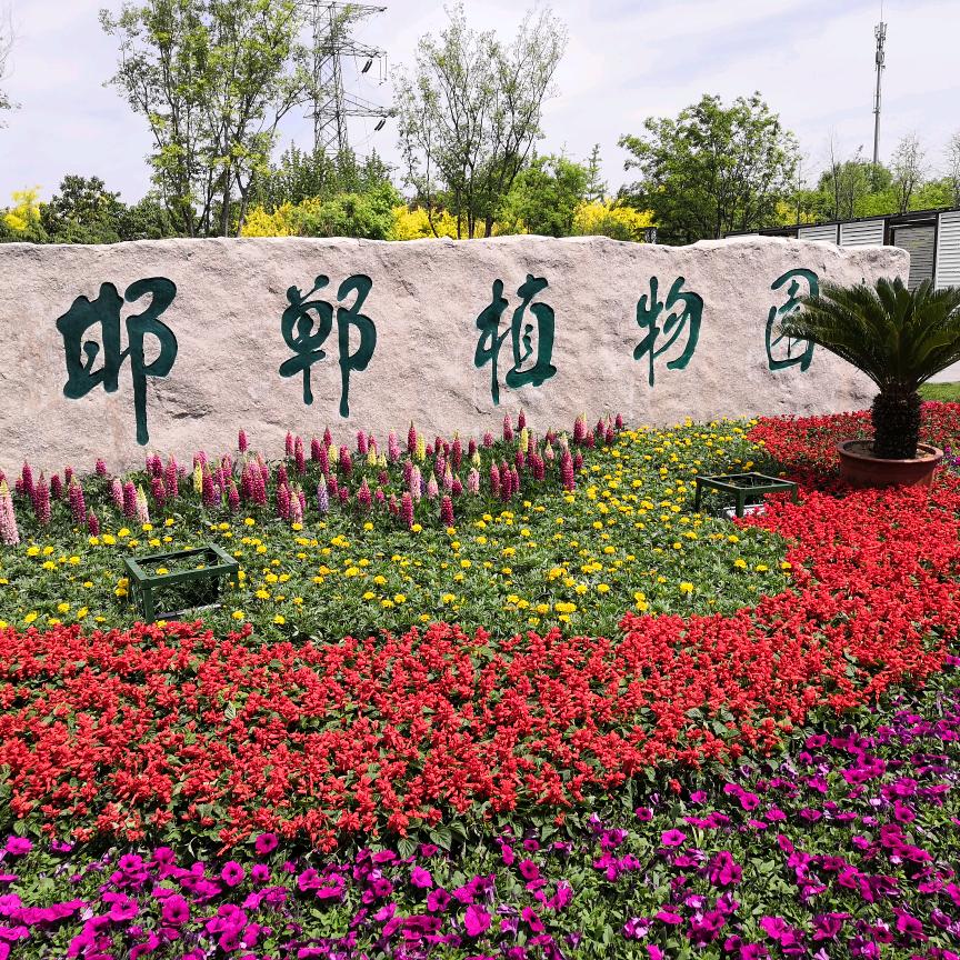 竹梅