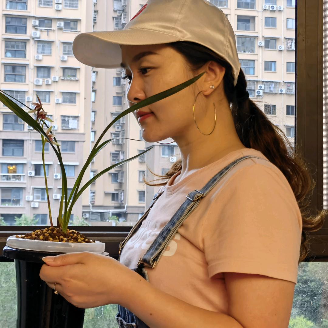 毛小艳卖兰花