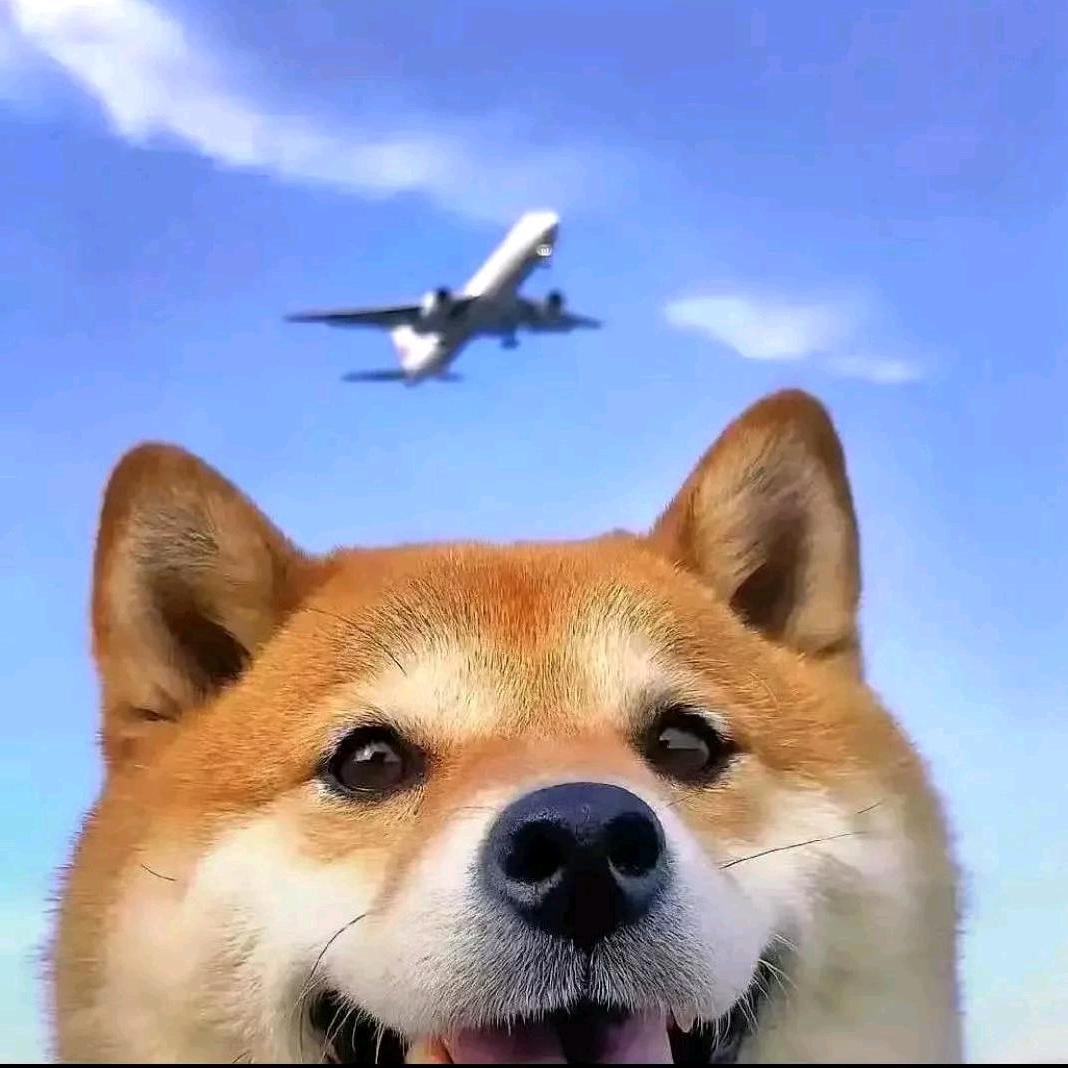 🌈🌈🌈无言🐰