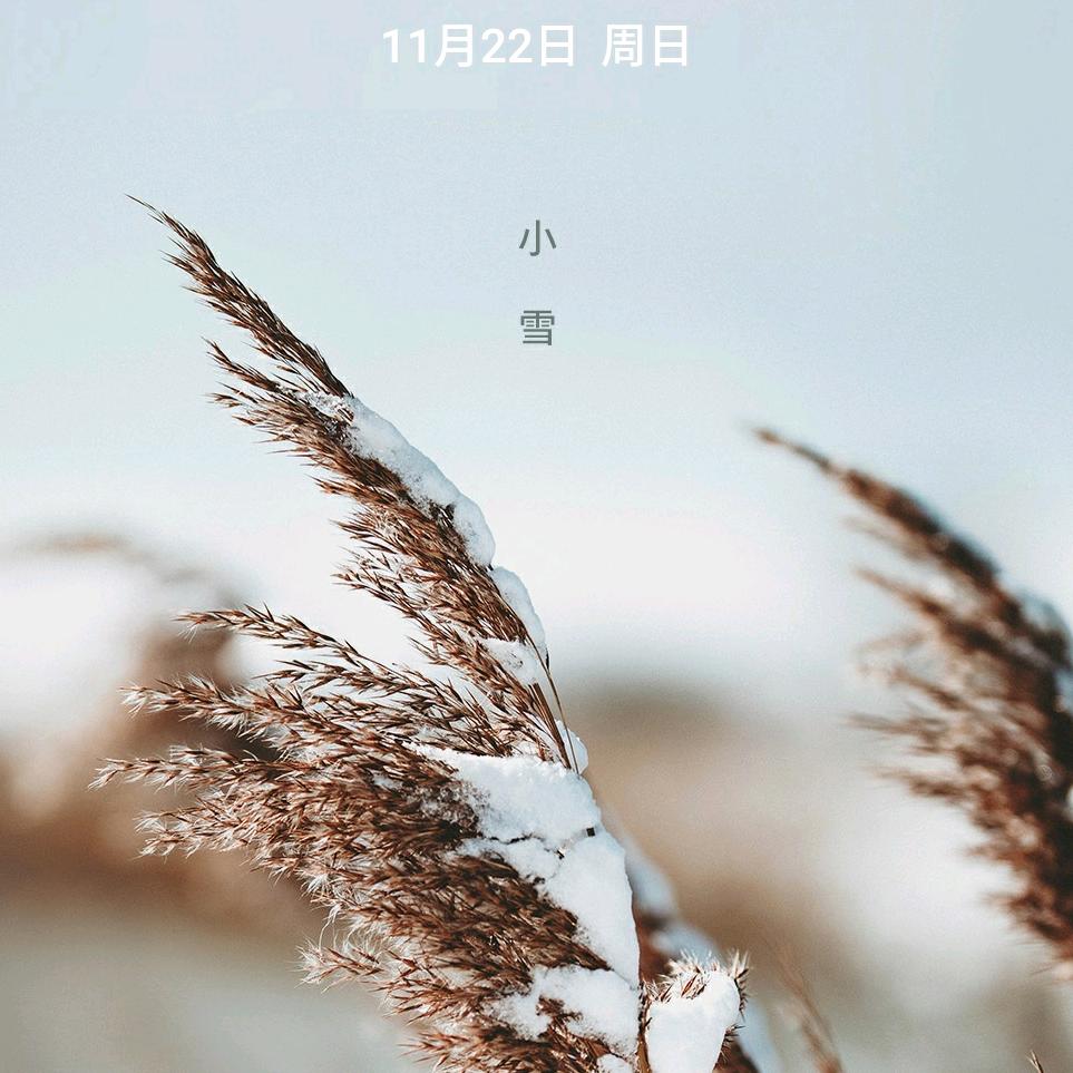 周红霞