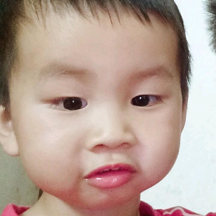 逐枫