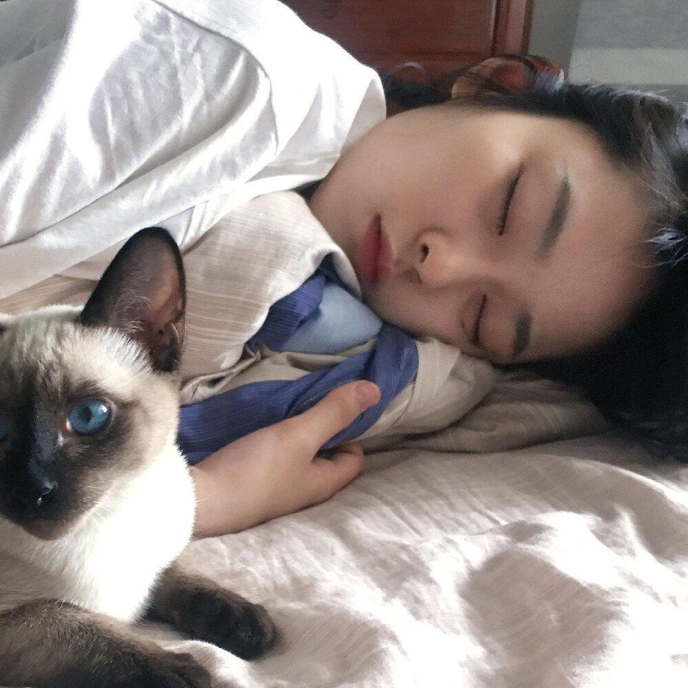 不是山猪