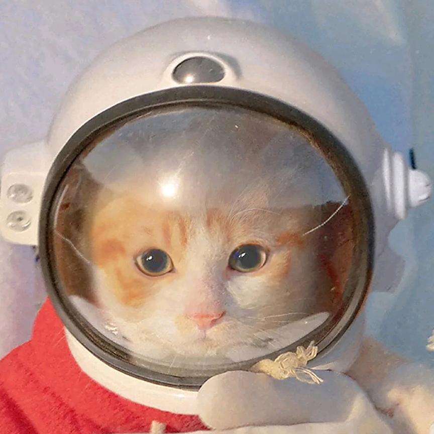 我尘nm落，🌿emo