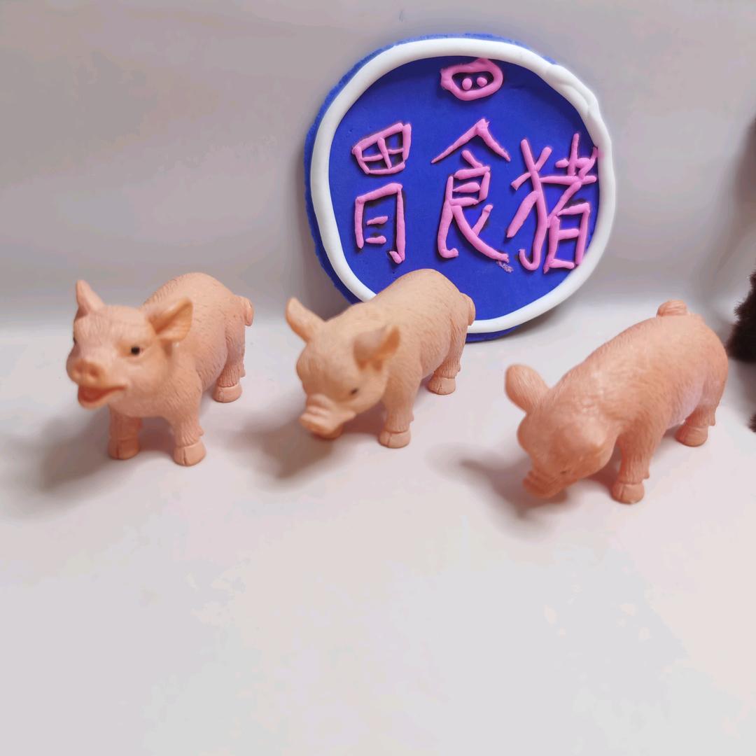 胃食猪🐷