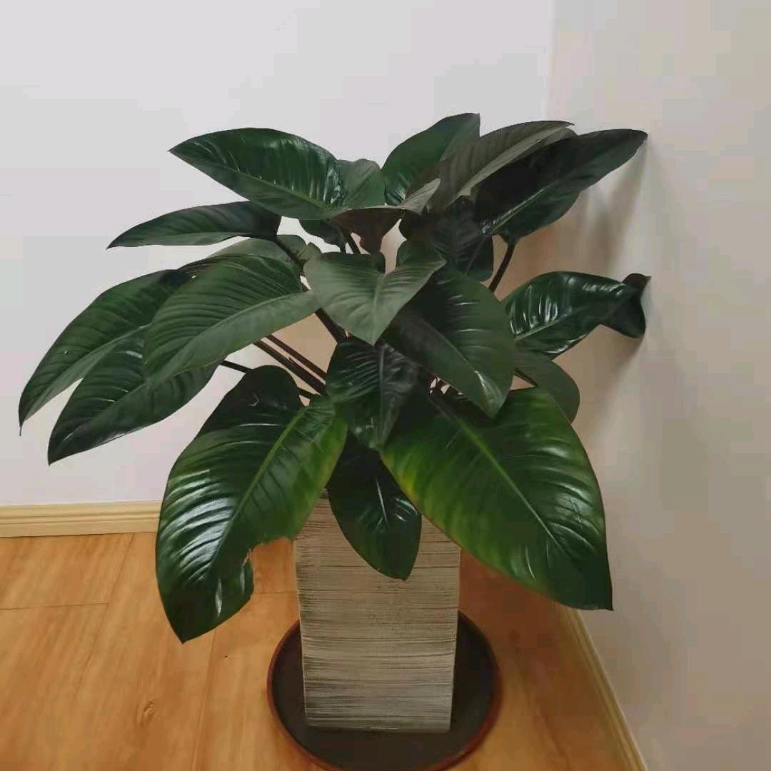 一路有你我
