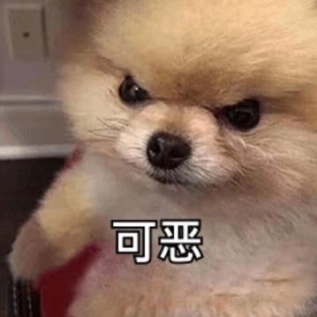 ʕ̯•͡˔•̯᷅ʔ          .