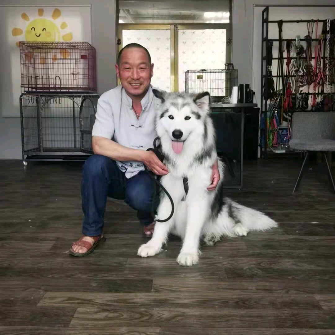 恒基犬舍