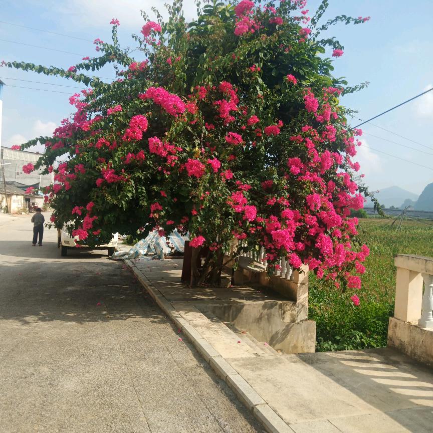 人生没有谁依赖谁