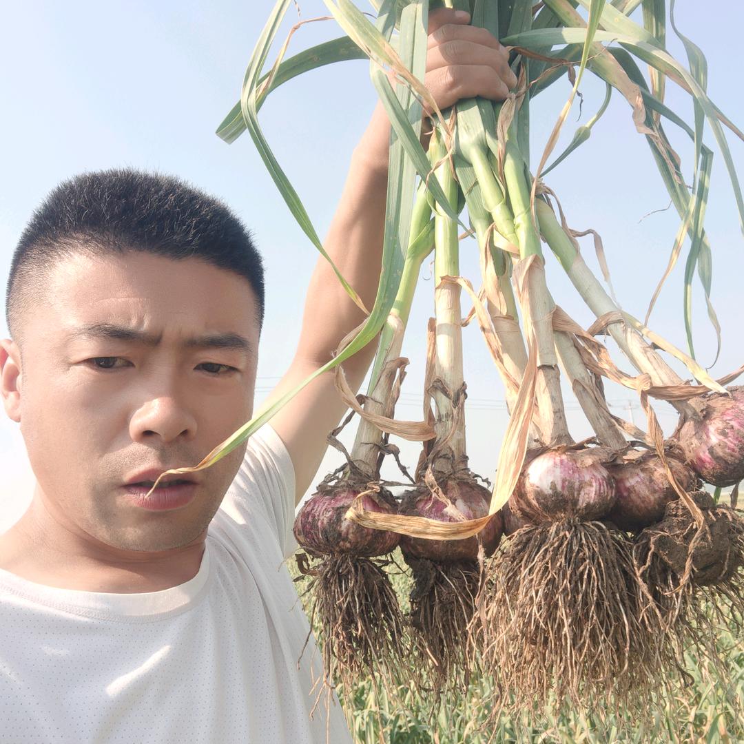 贵莹农产品销售有限公司