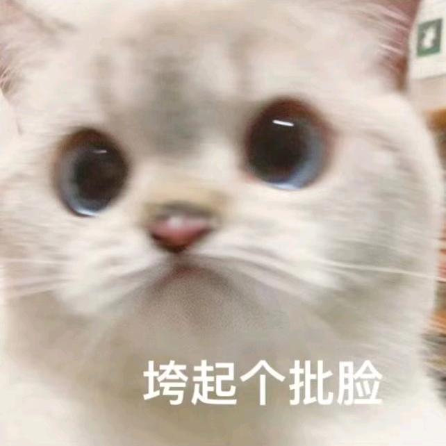语默低臻相思生