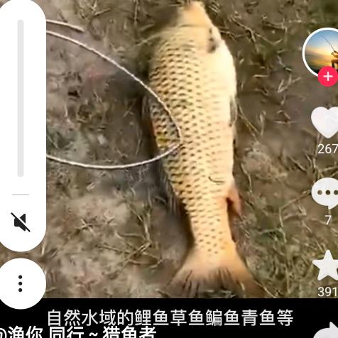用户7717178306971