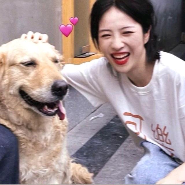 王秀秀✘