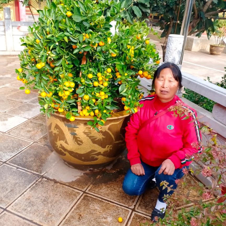 杨丽芬