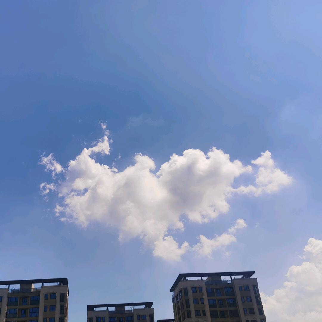 封流倜傥