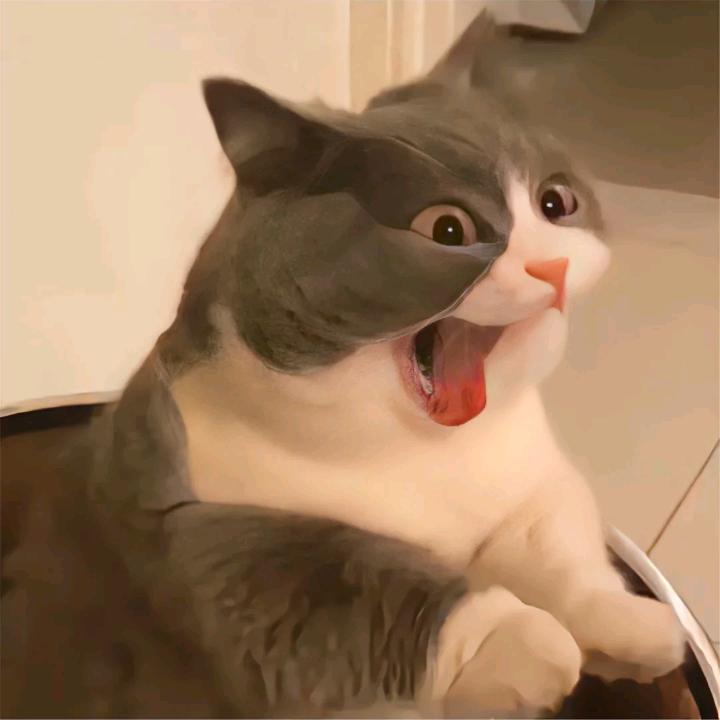 soup