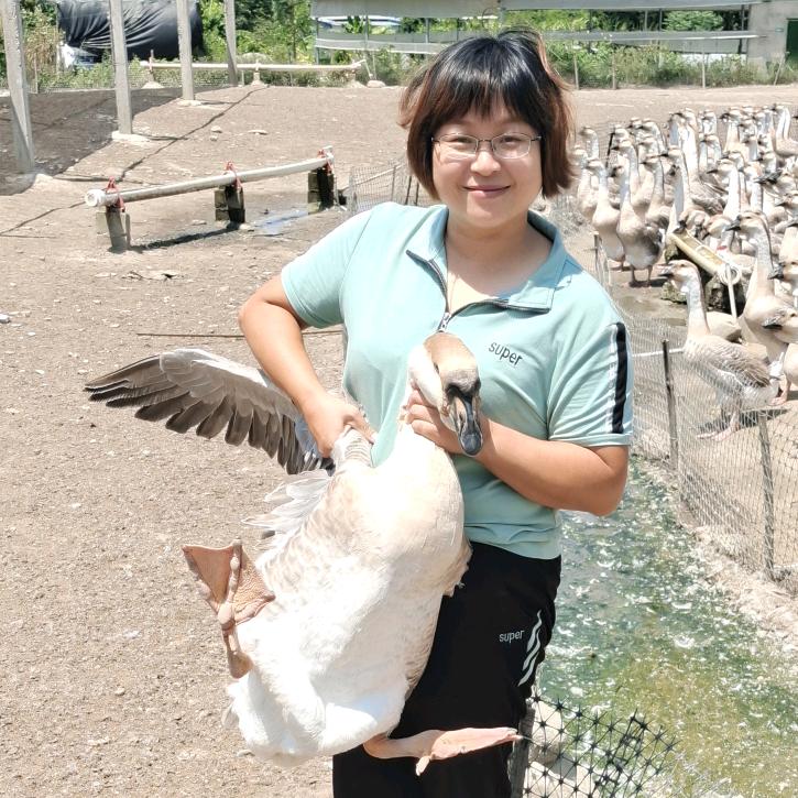 丰顺县坤顺种养有限公司