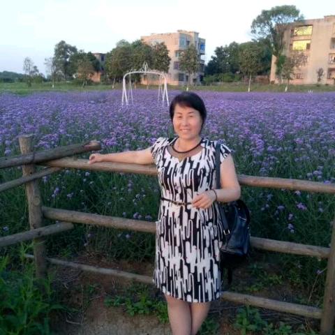 菊