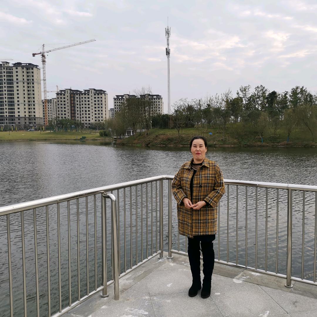 低调，诠释不了我的高傲