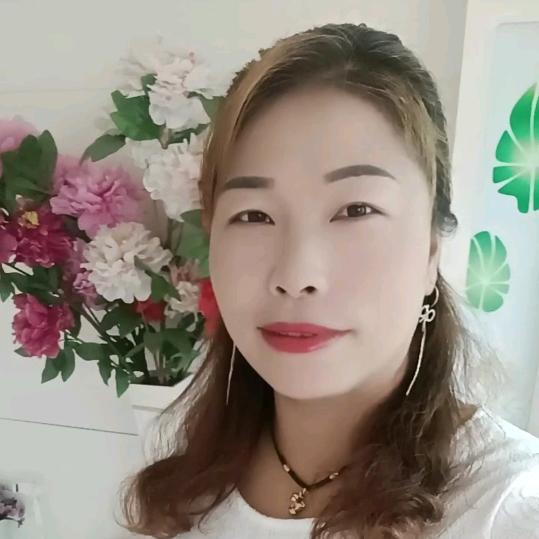 受伤的燕子