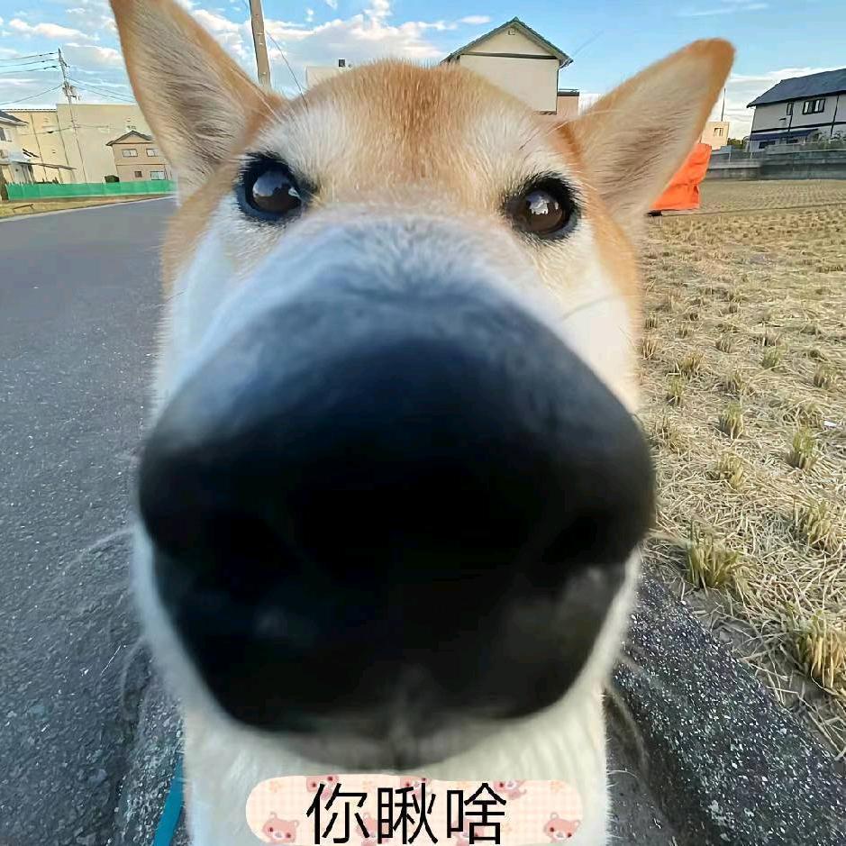 会是晴天么