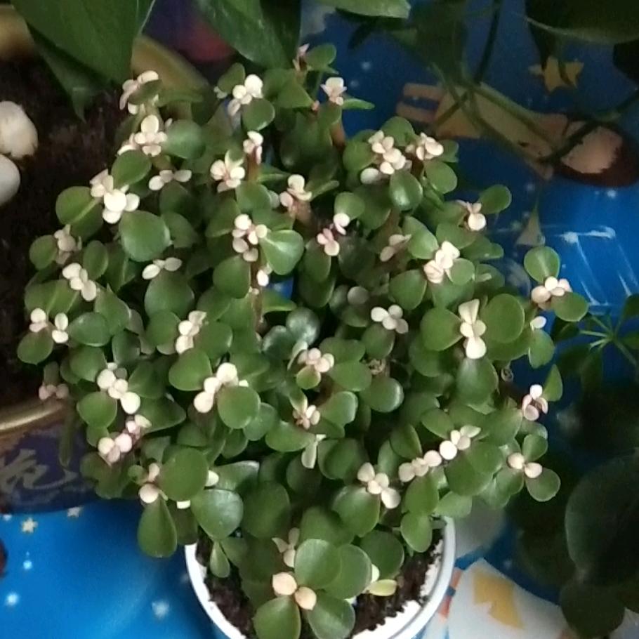 谁都只活这一回