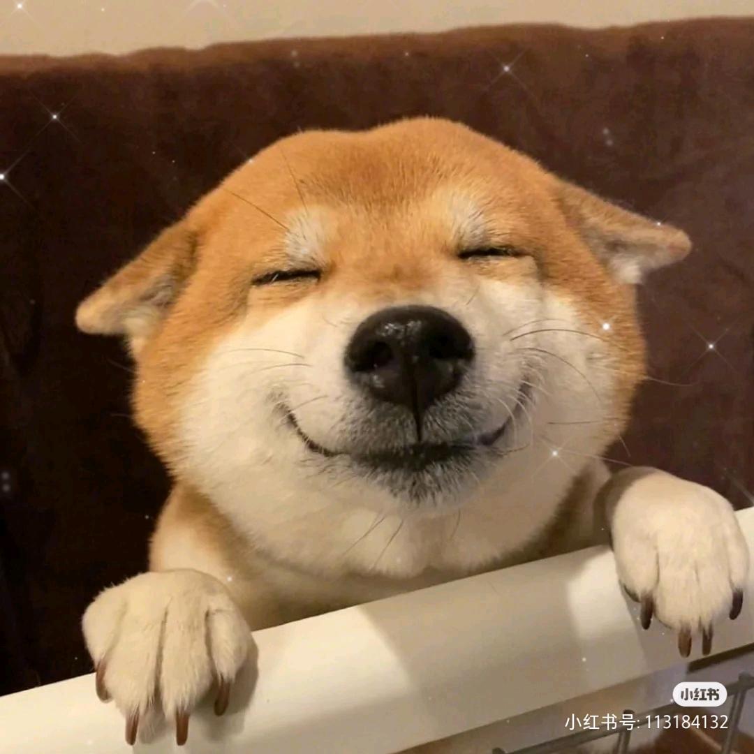 ╰つ゛楠枫💖