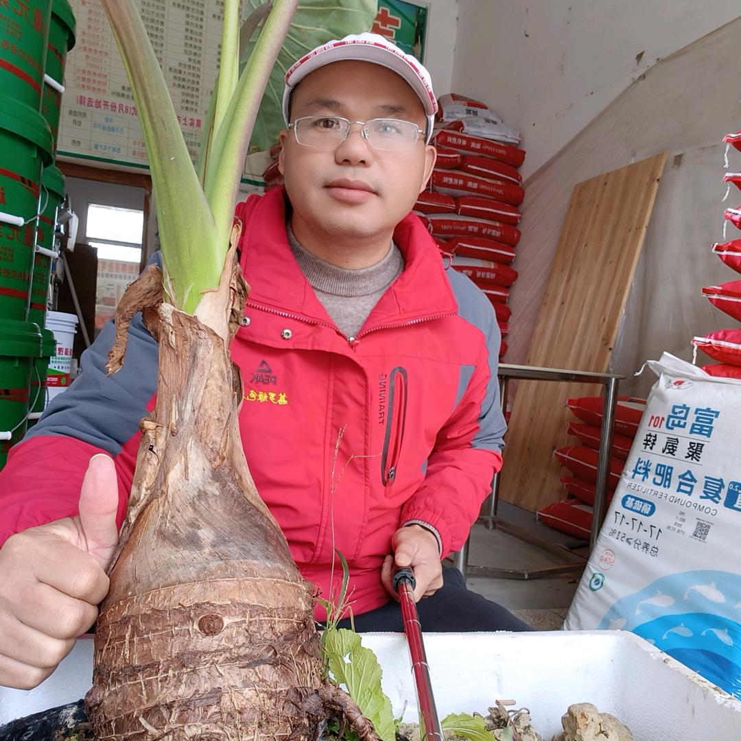 海哥讲农业