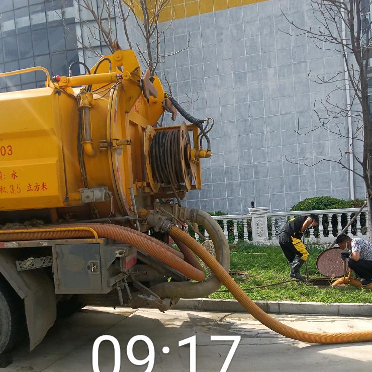 夏荷