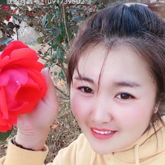 货拉拉一姐晶晶