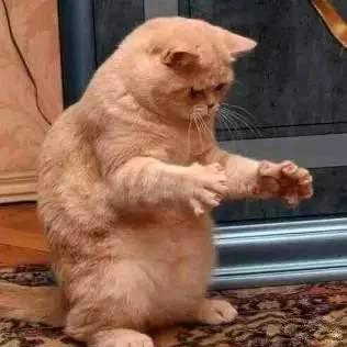 我就是我