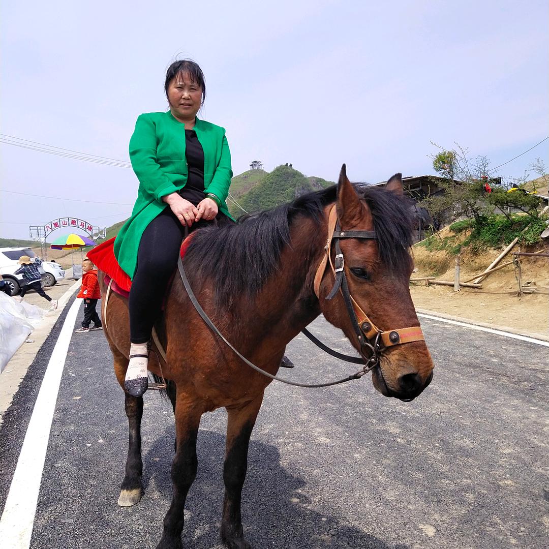 月亮代表我的心