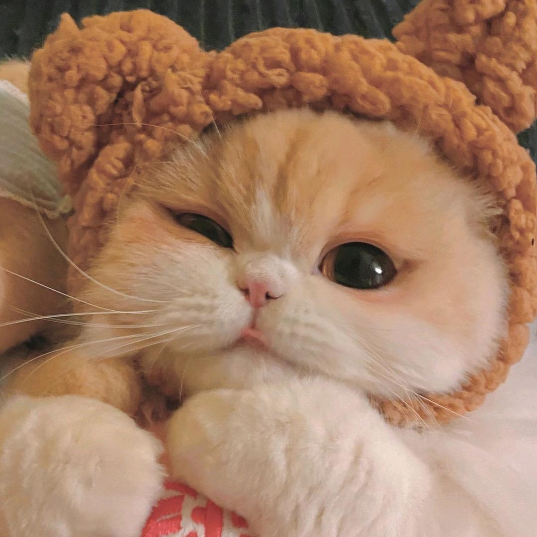 一袭.✨