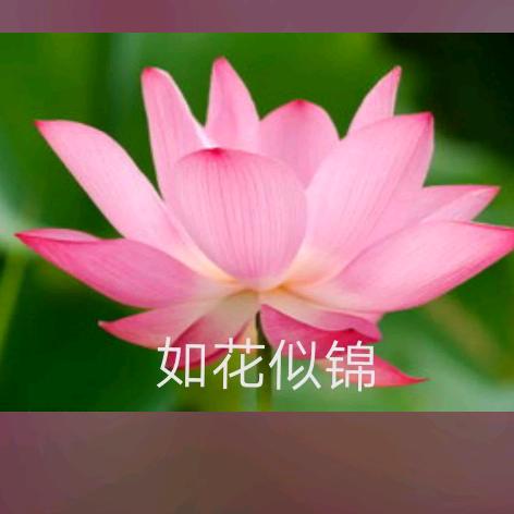 张青明