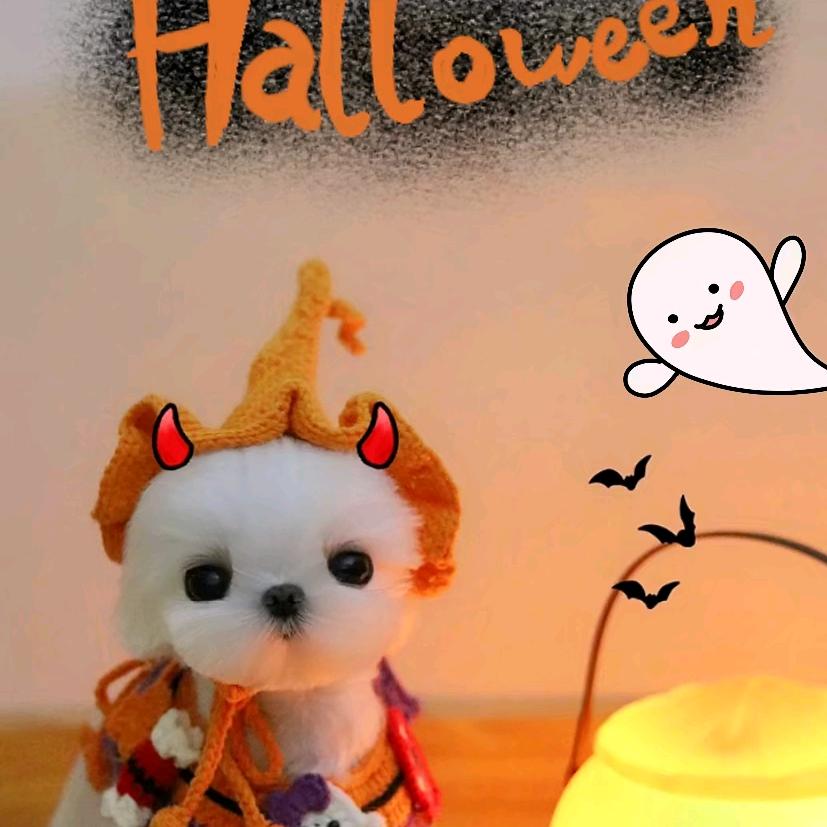 释然❤️❤️❤️