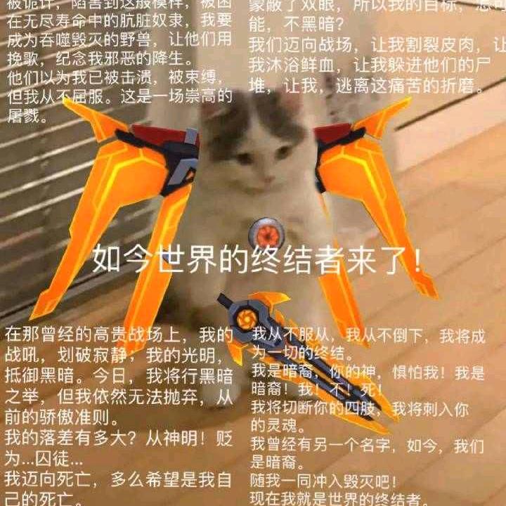 闲鱼咸鱼闲