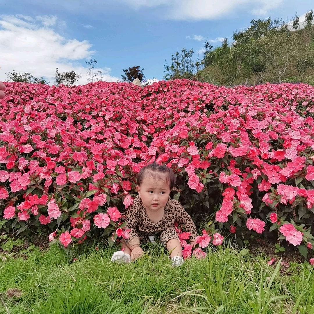 唐菲