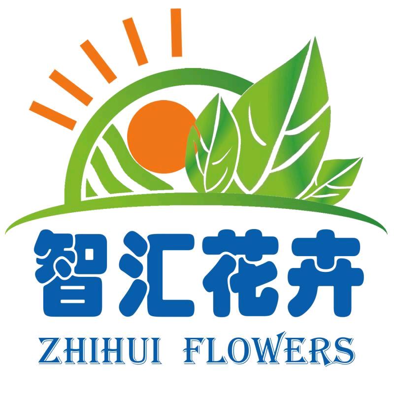 青州智汇花卉苗木有限公司