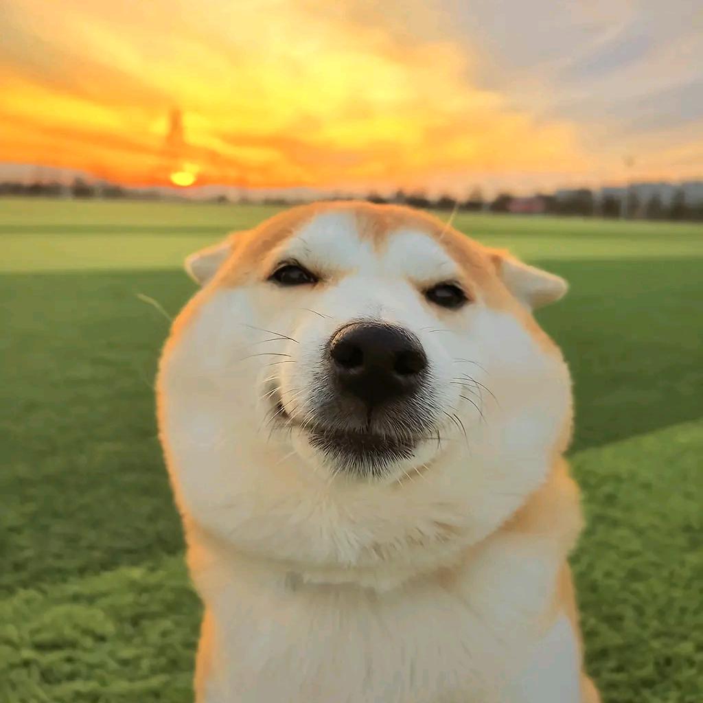 一杯回忆📸