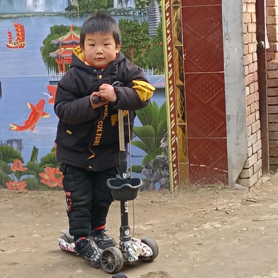 「菇凉淡了人生又何妨」